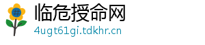 临危授命网